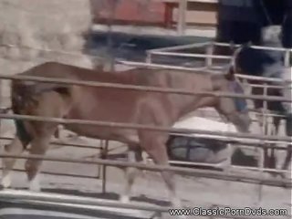 Un al aire libre sucio película con un oculto viewer