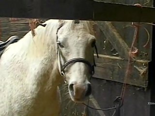 Dreckig wild sex im ein barn für verdorben bauernhof mädchen